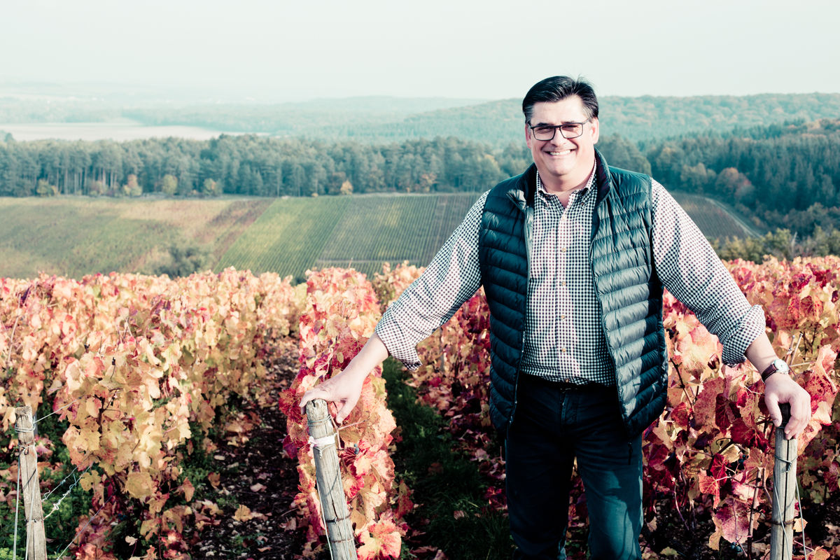 Philippe Cheurlin in seinen Weinbergen in Celles-sur-Ource